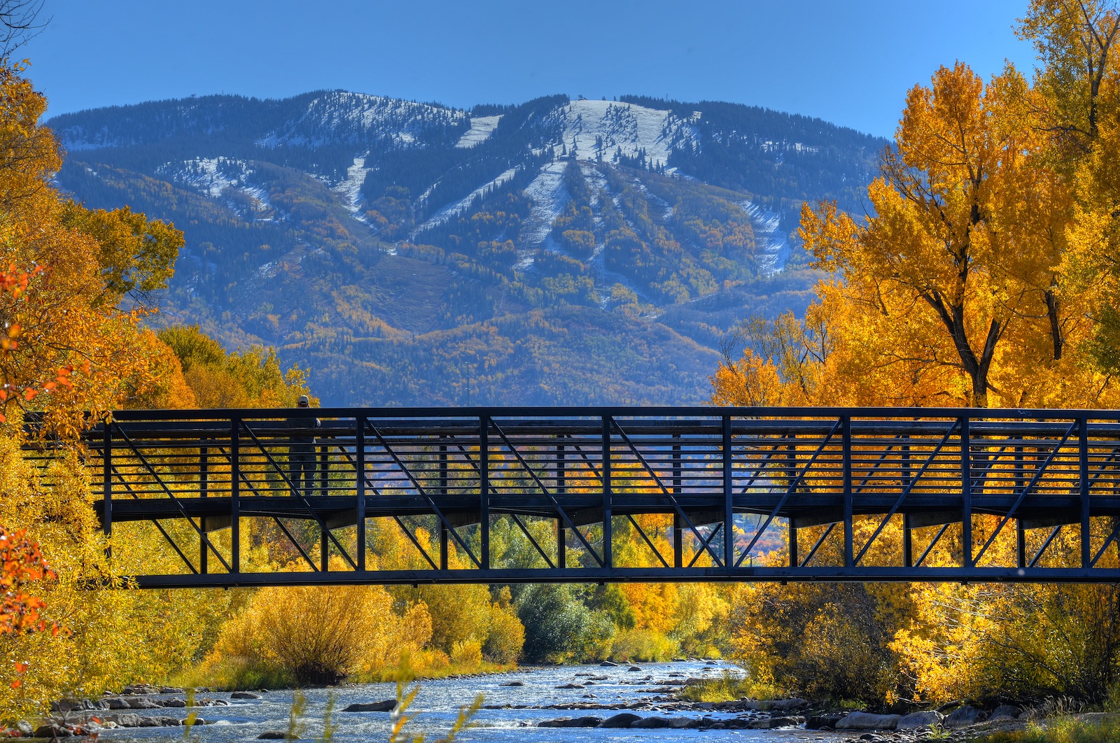 Colorado Fall Colors 2019: When & Where to See the Leaves Change